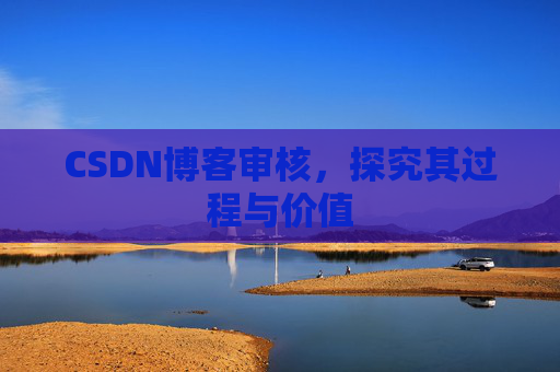 CSDN博客审核,探究其过程与价值